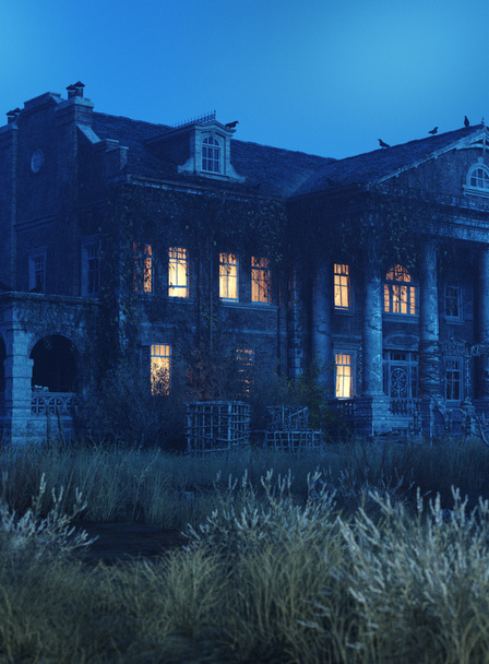 Illustrazione 3D della casa infestata abbandonata di notte con cielo blu, gabbie di legno per trapper e magici simboli magici stregoni. Erba incolta e abbandonata - Foto, immagini