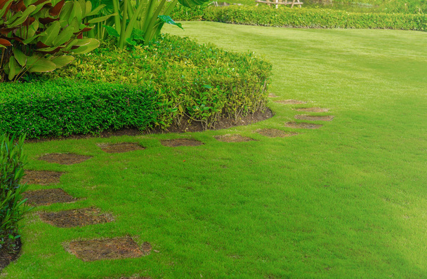 緑の芝生の庭での通路,庭緑の芝生のフィールドの庭の風景デザイン上の曲線歩道の低木の景色,裏庭の歩道と美しい草のフィールド. - 写真・画像