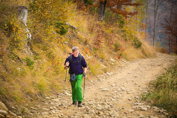 Turystyczny trekking dorosłych w jesiennych lasach, zdjęcie zrobione w polskich Beskidach, Wielka Racza - Zdjęcie, obraz