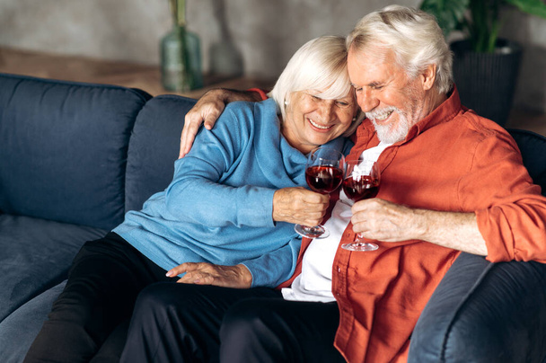 Cute elderly happy couple relaxing at home on the couch drinking wine and hugging - Photo, Image