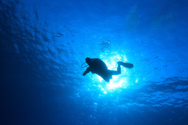 підводним плаванням
 - Фото, зображення