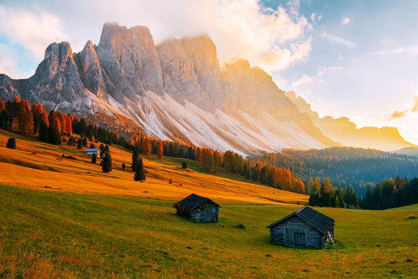 美しい秋の色は、ドロミテ山脈、トレンティーノ・アルト・アディジェ、ヴァル・ディ・フネス渓谷、イタリアの南チロルの夕日のセケダ山脈を背景にしています - 写真・画像
