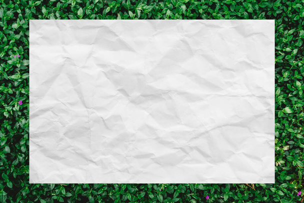 una hoja de papel arrugada en blanco con espacio de copia vacío para texto sobre fondo de textura de hojas verdes - Foto, Imagen