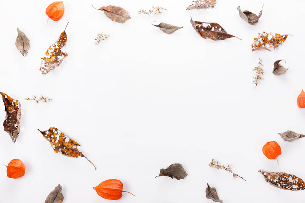 Christmas or autumn composition. Dry autumn leaves and physalis Top view, flat lay, copy space - Foto, Imagem