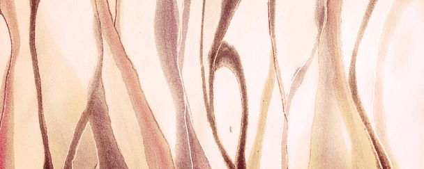 Negro Imagen popular. Textura blanca sedosa. Brown Contemporary Brush. Chal romántico naranja. Rose Batik Illustration. Patrón femenino púrpura. Banner de elegancia beige. Salpicadura angustiada. - Foto, imagen