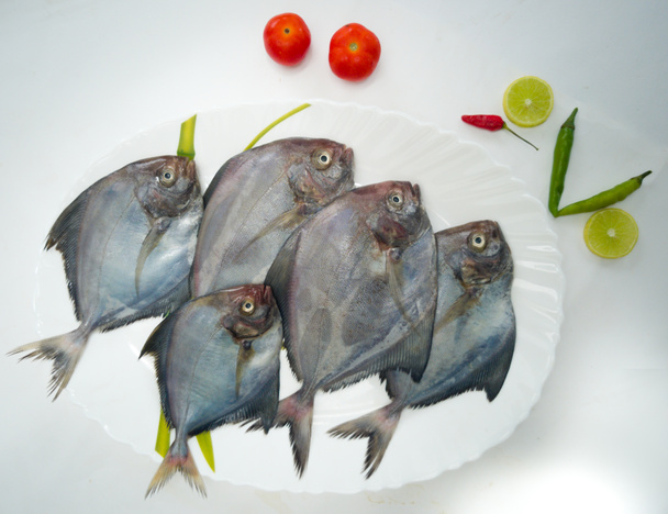 Primo piano di pesce Pomfret nero decorato con verdure ed erbe su un piatto bianco, sfondo bianco. - Foto, immagini