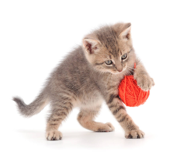 Kitten with ball of yarn isolated on white background.  - Φωτογραφία, εικόνα