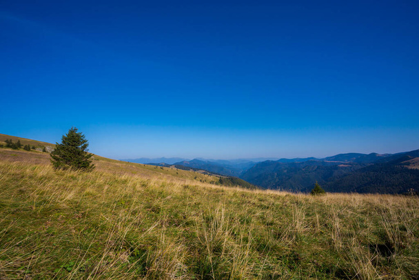 Piękna ścieżka do Borysowa i Płoska - w słowackich górach Velka Fatra. Słoneczna jesień panorama. - Zdjęcie, obraz