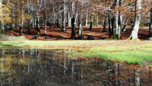 Alloz nádrž břeh a podzimní les. Letecký pohled. Navarre, Španělsko, Evropa. 4K. - Záběry, video
