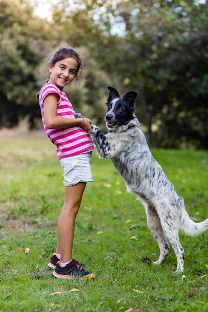 Young girl with a border collie on a field - Valokuva, kuva