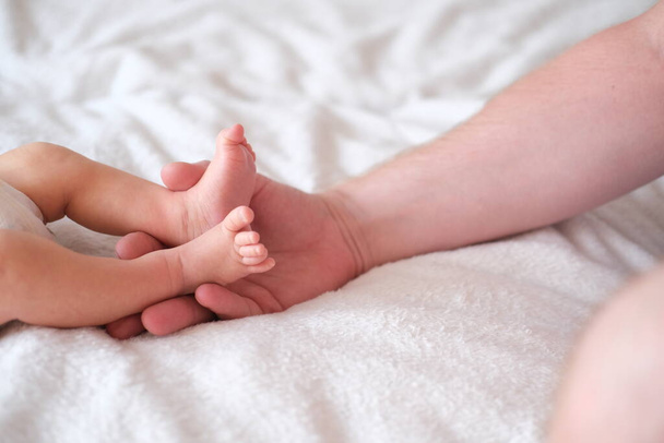 Father holds the feet of a newborn baby in his arms. Hands and feet on a white background close-up. - Foto, Imagen
