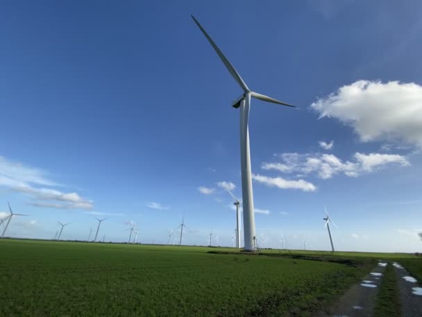 turbine eoliche che producono energia elettrica. Mulino a vento Produzioni di tecnologia eolica Turbine eoliche in piedi su campi in fiore in campo verde.  - Filmati, video