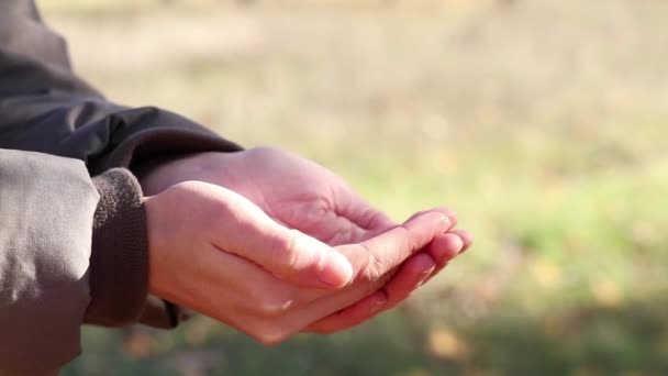 γυναίκα δίνει μικρά νομίσματα στα χέρια μιας άλλης γυναίκας στους δρόμους, ζητώντας χρήματα στην πόρτα, φτώχεια - Πλάνα, βίντεο