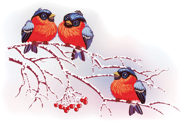 Birds on branches - Vetor, Imagem