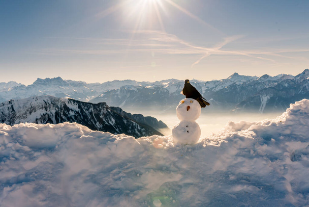 Hóember karácsonykor. Varjú áll a hóember fején télen. Sárgafalú Chough. Alpesi Chough. Pyrrhocorax graculus. Rochers De Naye, Svájc. A természet szépsége. - Fotó, kép