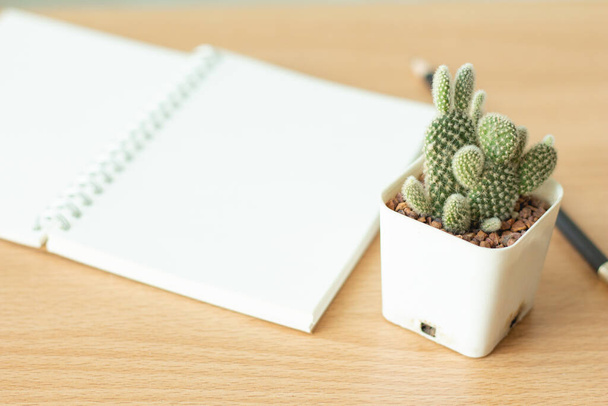 Kaktus v bílém hrnci s otevřeným prázdným zápisníkem. - Fotografie, Obrázek