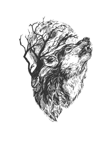 Vector hand drawn illustration of wild fanged wolf howling in vintage engraved style. Animal portrait isolated on white background. - Vektori, kuva