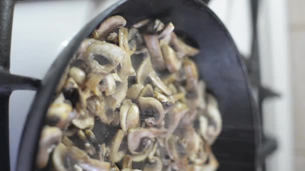 vídeo vertical champignes fritos em uma panela de ato de fritar preta quente. despeje sal nos cogumelos. - Filmagem, Vídeo