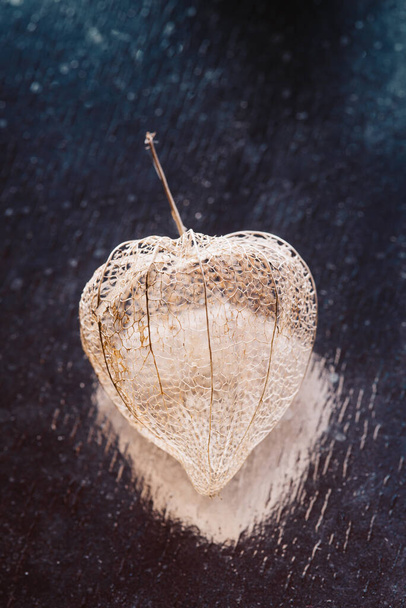 Gedroogde doos van de vrucht van fysalis in de vorm van een hart op een zilveren achtergrond close-up. - Foto, afbeelding