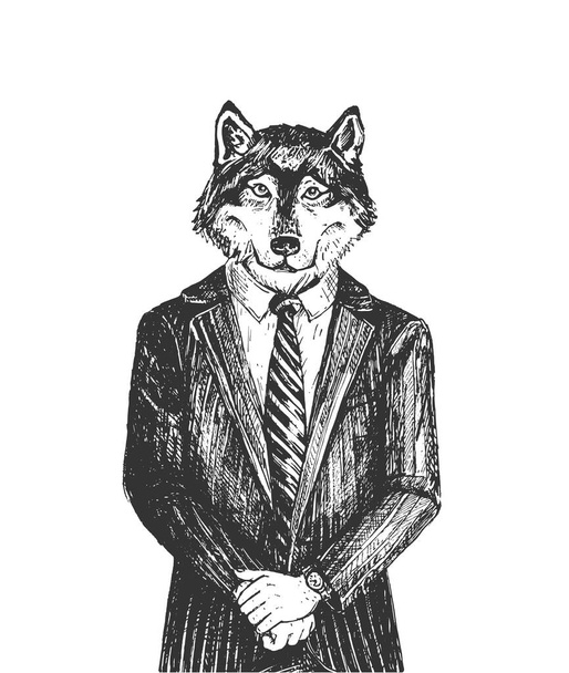 Vector hand drawn illustration of brutal man wolf from wall street wearing elegant classic suit in vintage engraved style. Portrait isolated on white background. - Vektori, kuva