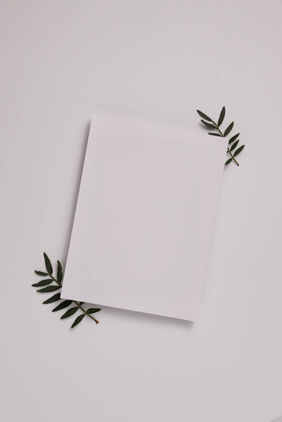 Summer wedding stationery mock-up scene. Blank greeting card, craft paper envelope and green branches isolated on white table background. Feminine Mediterranean top view, flat lay. - Foto, Bild