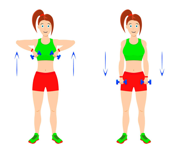 Exercise at home. Young curvy girl doing exercises with dumbbells for arm muscles. - Vector, Image