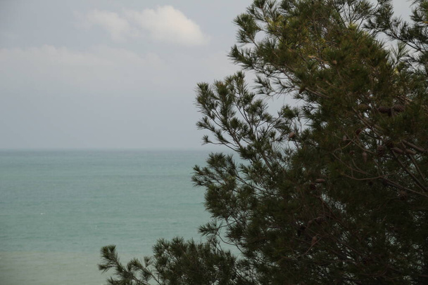 View of the shore of Alicante, Spain - Zdjęcie, obraz