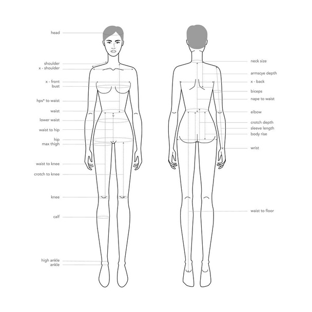 Women body parts terminology measurements Illustration for clothes and accessories production fashion lady size chart - Vetor, Imagem