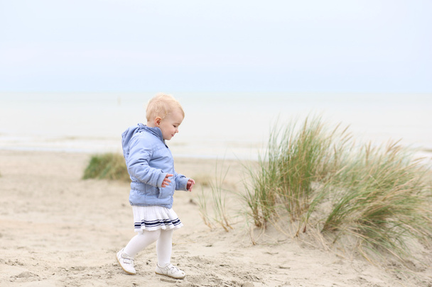 Baby girl marche sur la plage d'automne
 - Photo, image