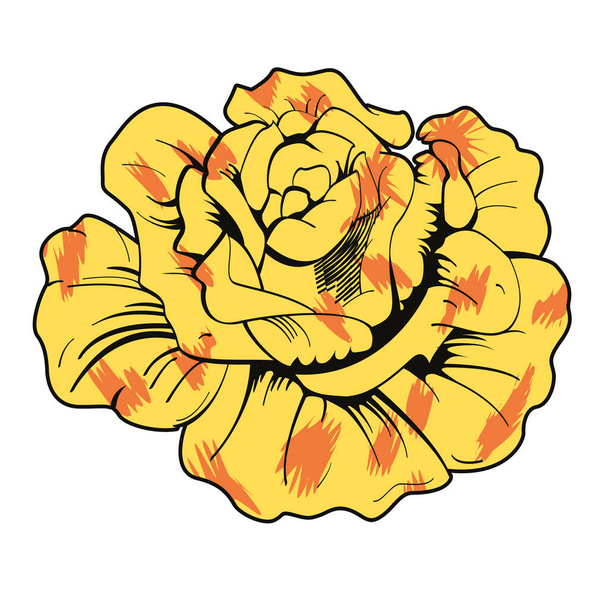 Illustrazione vettoriale di un fiore giallo isolato su bianco - Vettoriali, immagini