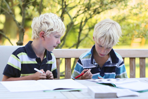 Twin brothers doing together homework - Foto, Bild