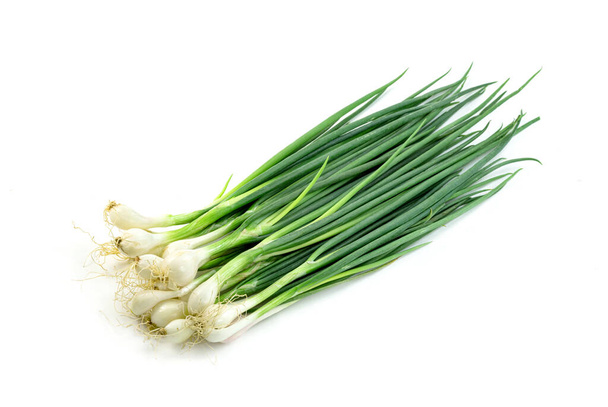 hoja de cebolla primaveral aislada sobre fondo blanco, patrón hojas verdes - Foto, Imagen