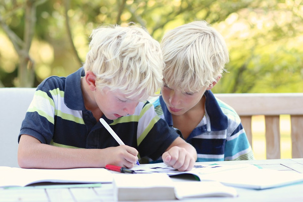 Брати-близнюки виконують домашнє завдання
 - Фото, зображення