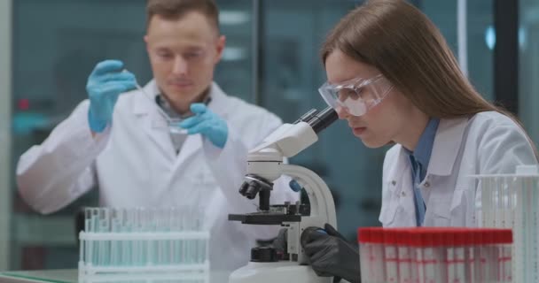 δύο επιστήμονες διερευνούν βιολογικά δείγματα στο ιατρικό εργαστήριο, διαγνωστικά με ανάλυση, άνδρες και γυναίκες τεχνικοί - Πλάνα, βίντεο