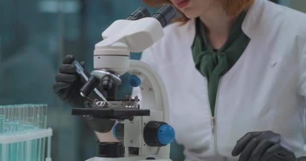 Kadın kimyager laboratuvarda kimyasallarla çalışıyor, test tüplerinden örnekler alıyor ve mikroskop altında karıştırıyor. - Video, Çekim