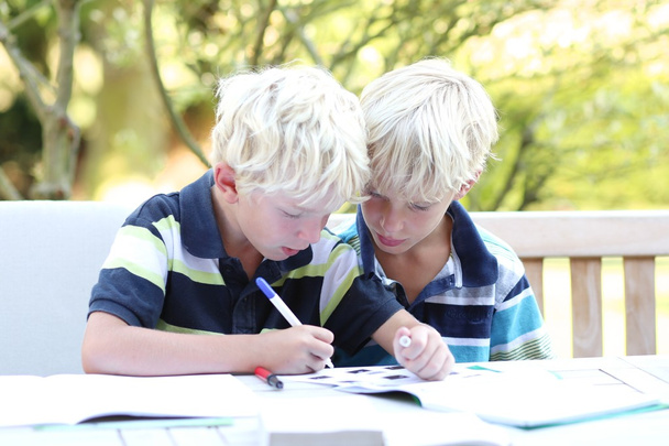 Twin brothers doing together homework - Фото, зображення