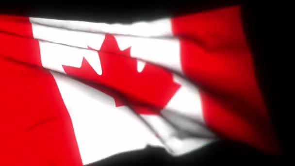 Canada flag , Realistic 3D animation of waving flag. Canada flag waving in the wind. National flag of Canada. seamless loop animation. 4K High Quality, 3D render - Footage, Video