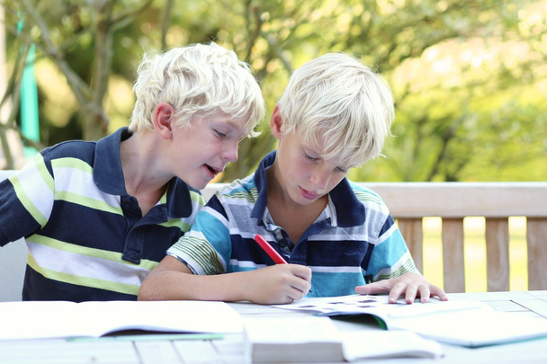 Twin brothers doing together homework - Foto, afbeelding