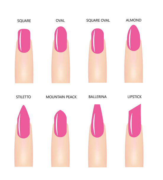 Nail shapes with pink nail polish, vector  - Vector, Image