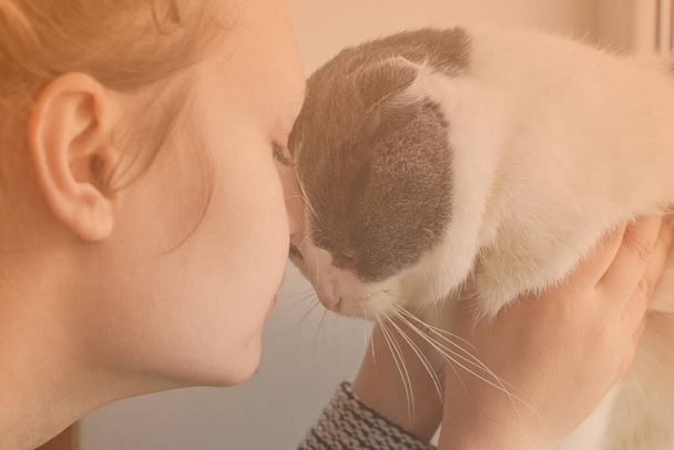 Kız sevimli kedisine sarılıyor, yakından, tonlu, evcil hayvanlarla arkadaşlık teması - Fotoğraf, Görsel