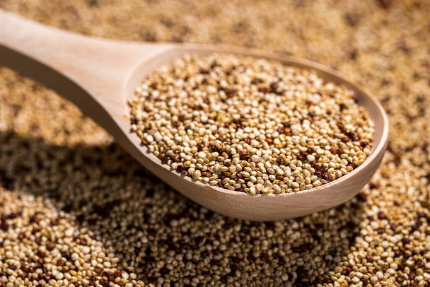 Wooden spoon with an uncooked mixture of red and white quinoa. - Foto, immagini