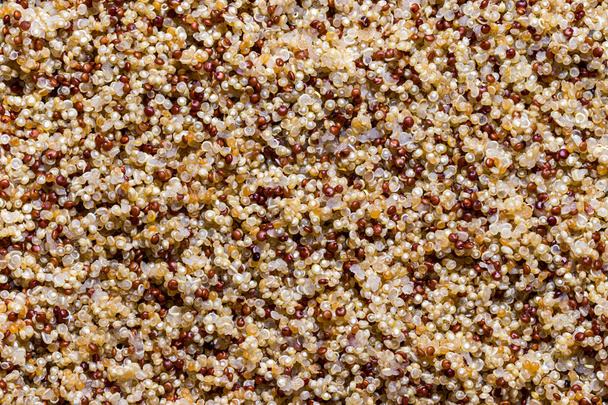 Vista aérea de una mezcla cocida de quinua roja y blanca. Textura alimenticia. - Foto, imagen