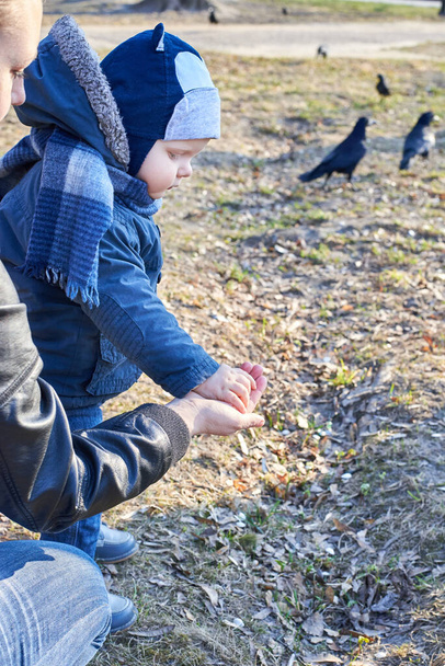 Un bambino prende i semi di zucca dalla mano della madre per nutrire gli uccelli nel parco all'inizio della primavera. - Foto, immagini