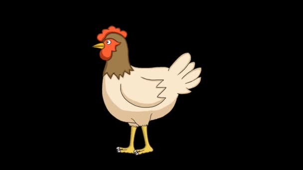 animacja wideo kreskówka z kurczaka chodzącego na czarnym tle - Materiał filmowy, wideo
