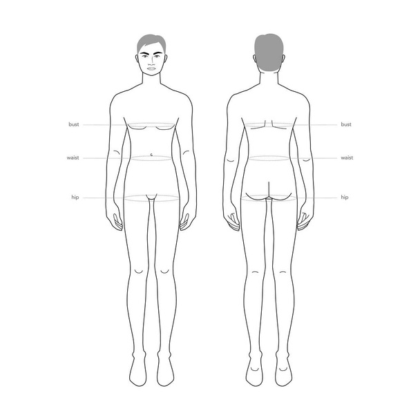 Mannen standaard lichaamsdelen terminologie metingen Illustratie voor kleding en accessoires productie mode mannelijke maat - Vector, afbeelding