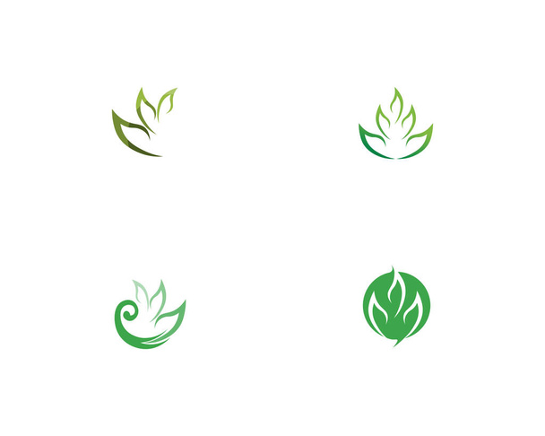 Ağaç yaprağı vektör logosu tasarımı, çevre dostu kavram - Fotoğraf, Görsel