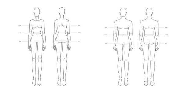 Mediciones terminológicas de piezas de cuerpo estándar para hombres y mujeres Ilustración para la producción de ropa y accesorios moda  - Vector, Imagen