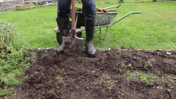 Κλείσιμο του βοτάνισμα στον κήπο και προετοιμασία του εδάφους για την επόμενη σπορά των νέων φυτών. Φθινοπωρινή υποχρεωτική εργασία. Η σκληρή ζωή ενός χωρικού. Βίντεο Full HD 60 fps. - Πλάνα, βίντεο