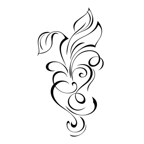 decorative element with curls and leaves in black lines on white background - Wektor, obraz