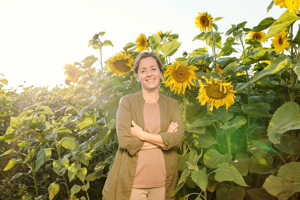 Happy mature woman in casualwear crossing her arms on chest and looking at you while standing in front of camera against sunflowers - Photo, Image